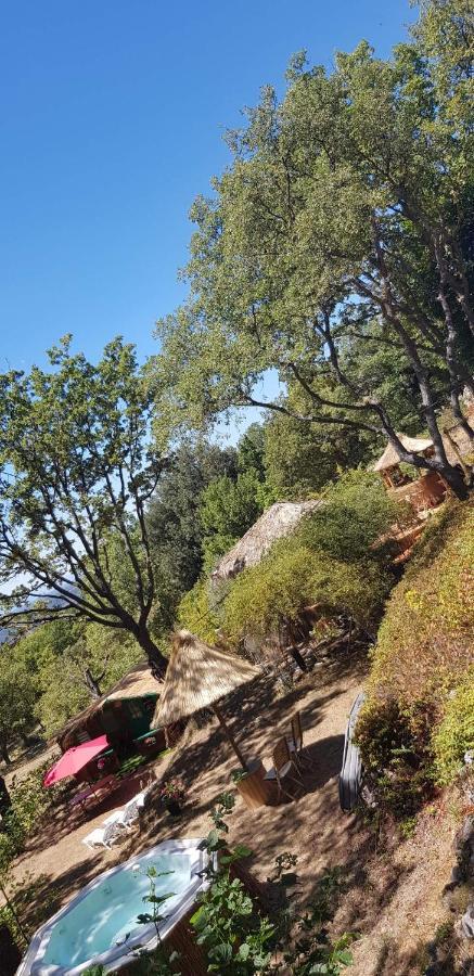 La Lyalis Bed & Breakfast Aiguines Dış mekan fotoğraf
