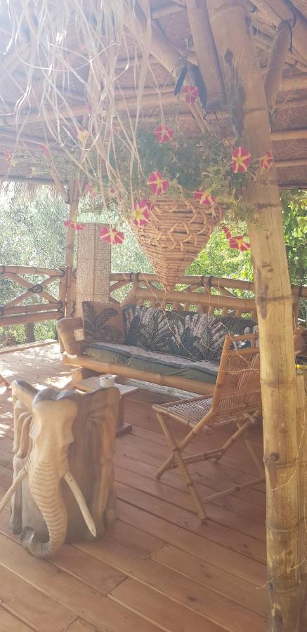 La Lyalis Bed & Breakfast Aiguines Dış mekan fotoğraf