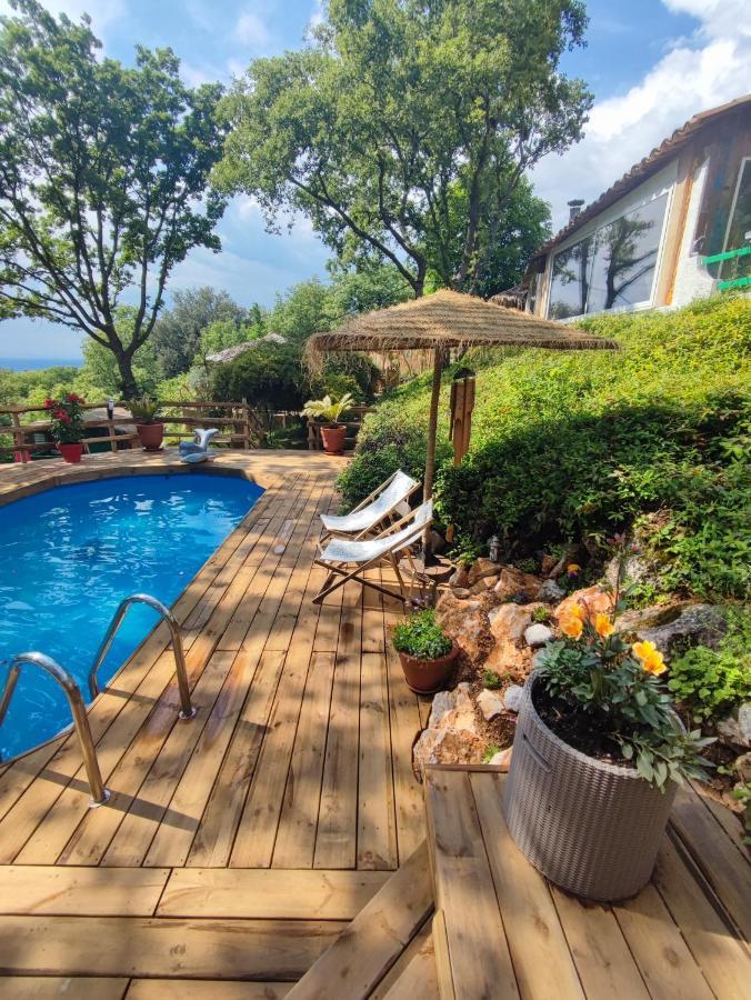 La Lyalis Bed & Breakfast Aiguines Dış mekan fotoğraf