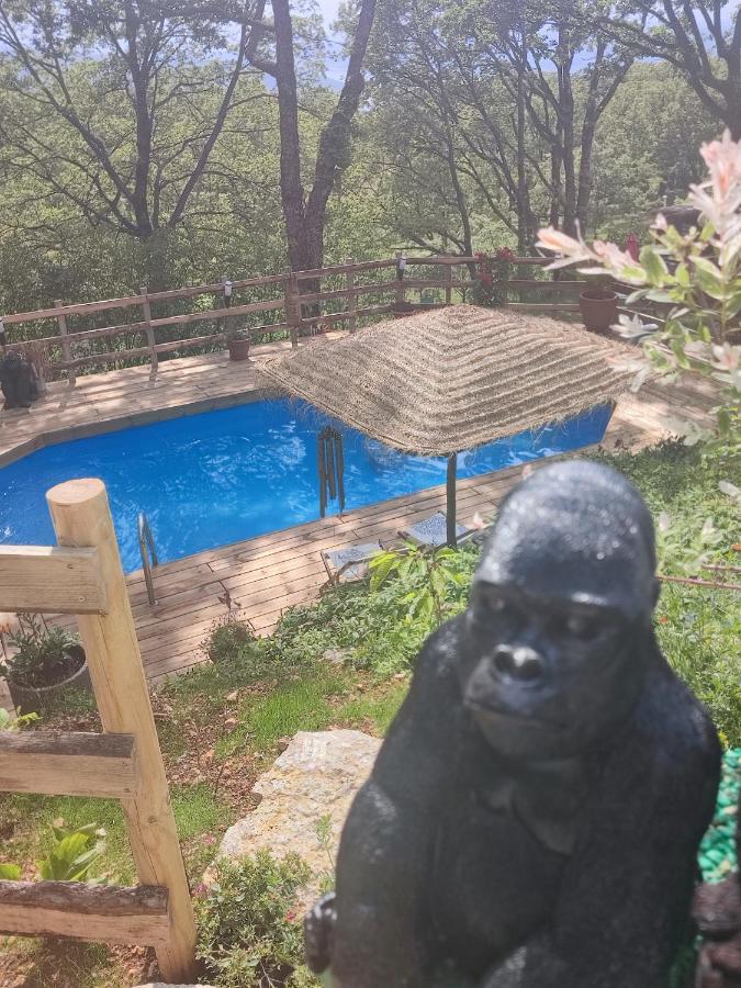 La Lyalis Bed & Breakfast Aiguines Dış mekan fotoğraf