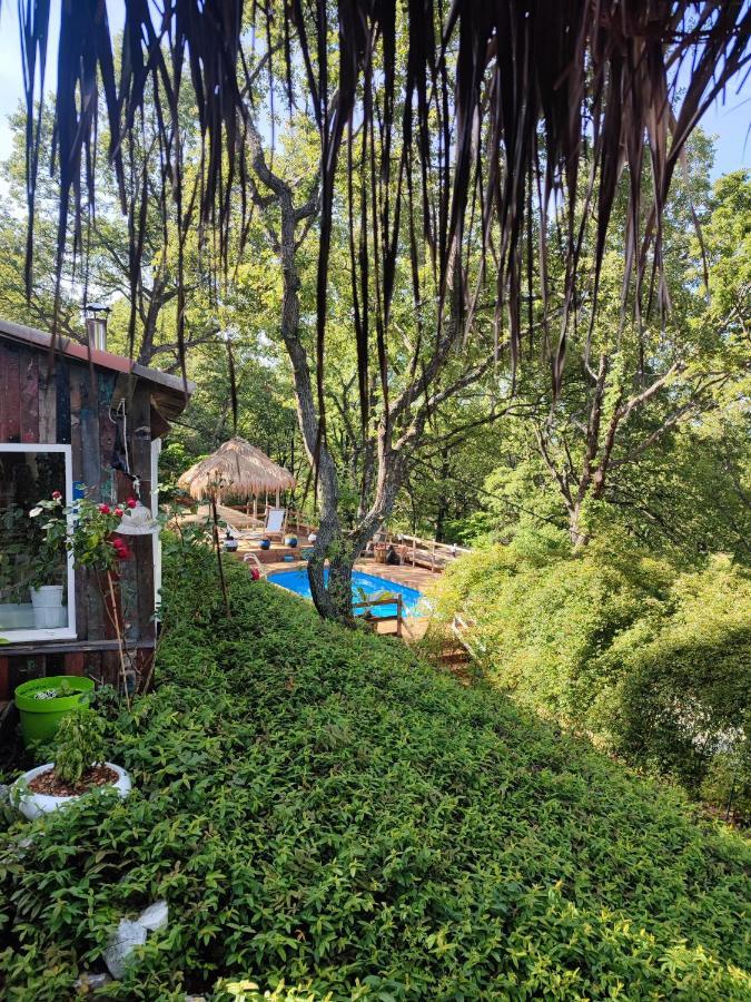 La Lyalis Bed & Breakfast Aiguines Dış mekan fotoğraf